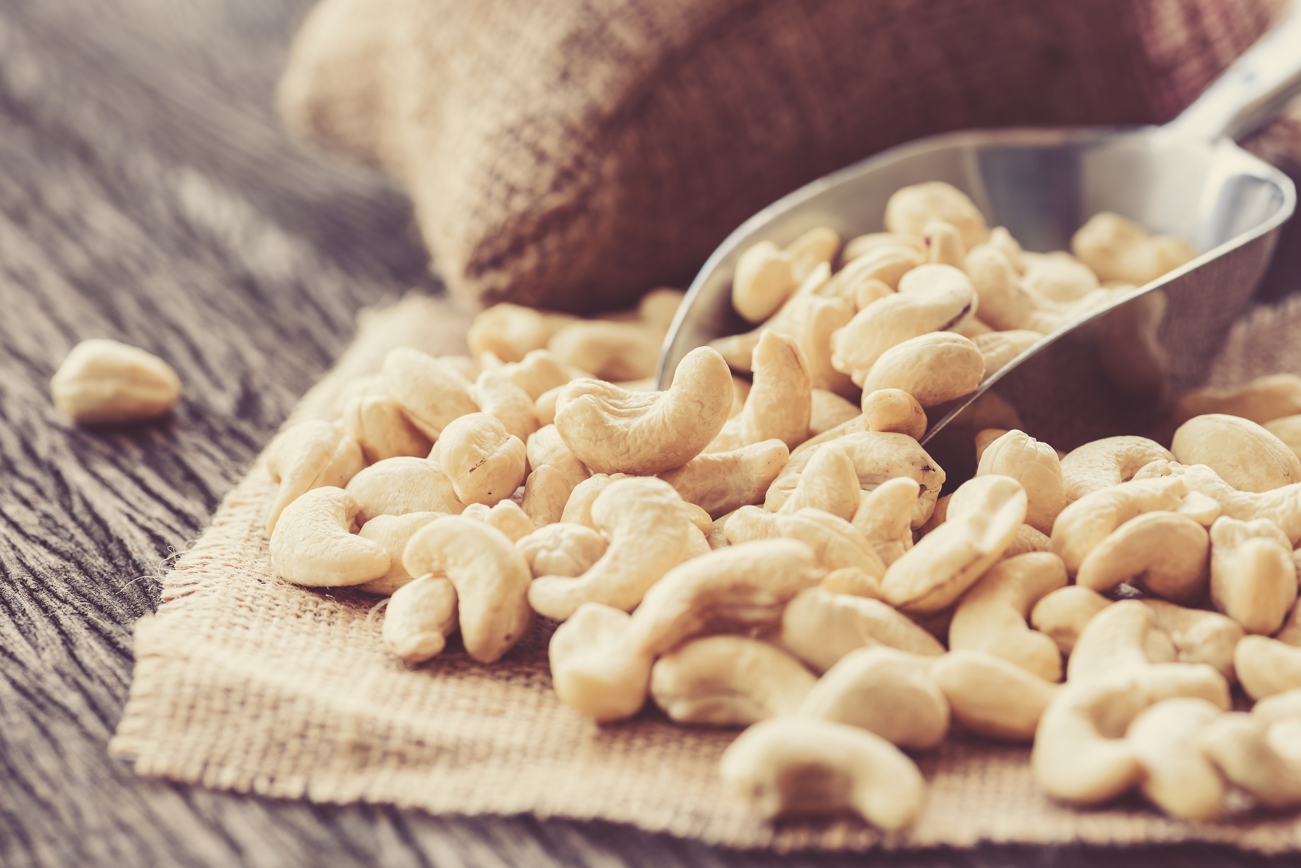 Cashew Nut Wholesalers